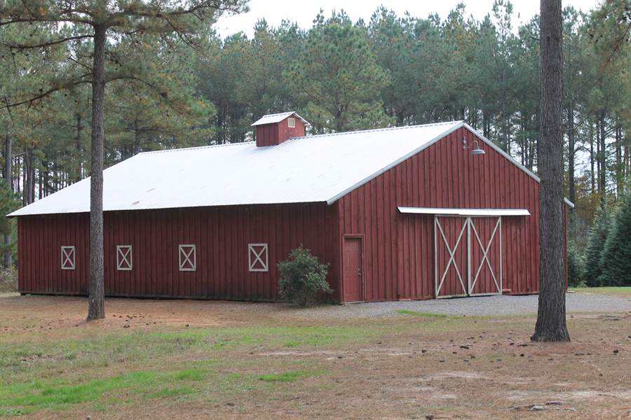 A red barn among pines at DanMar Plantation, where the quail and pheasants are held