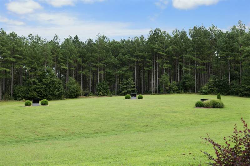 Shooting stations set out across the mown field