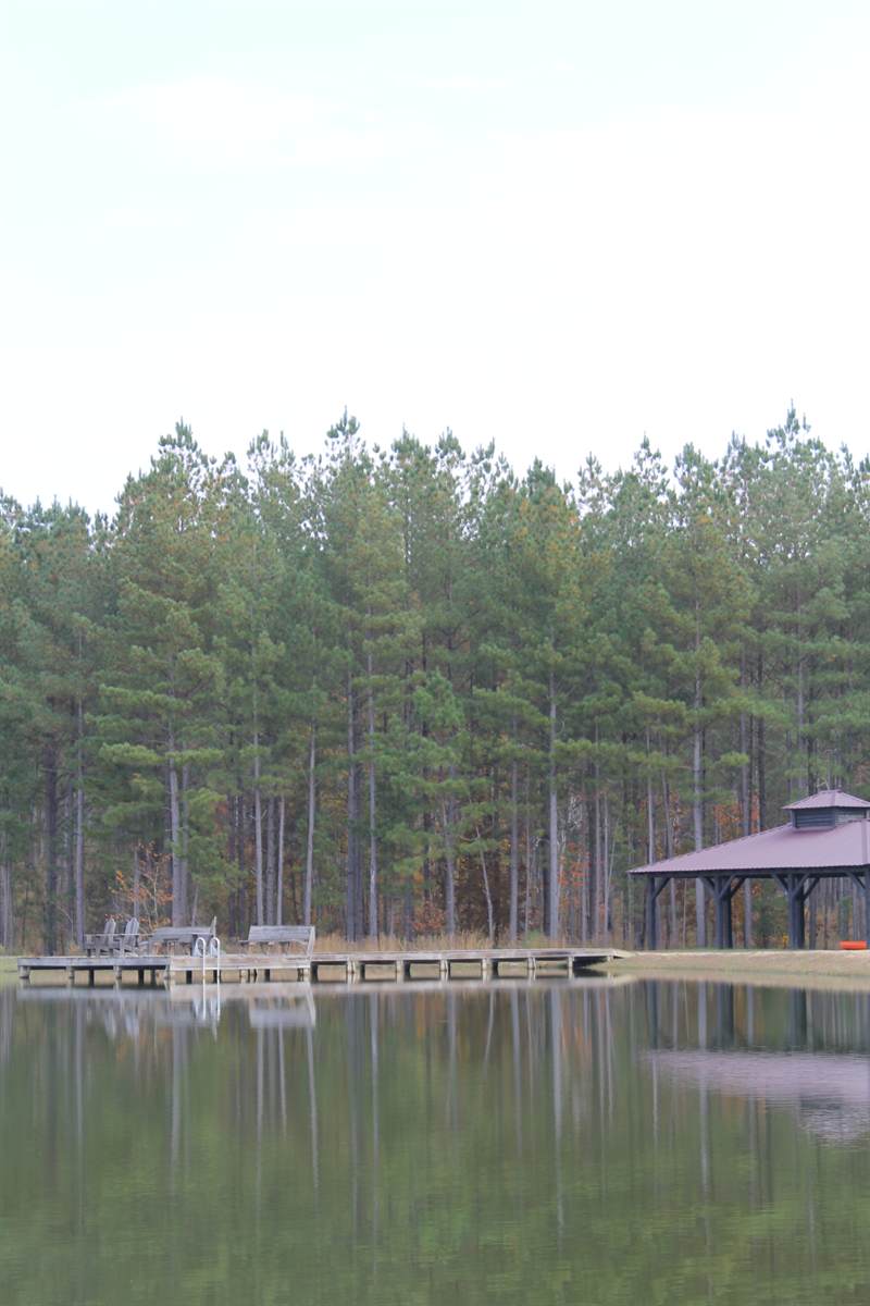 A small covered stand at the far end of the lake