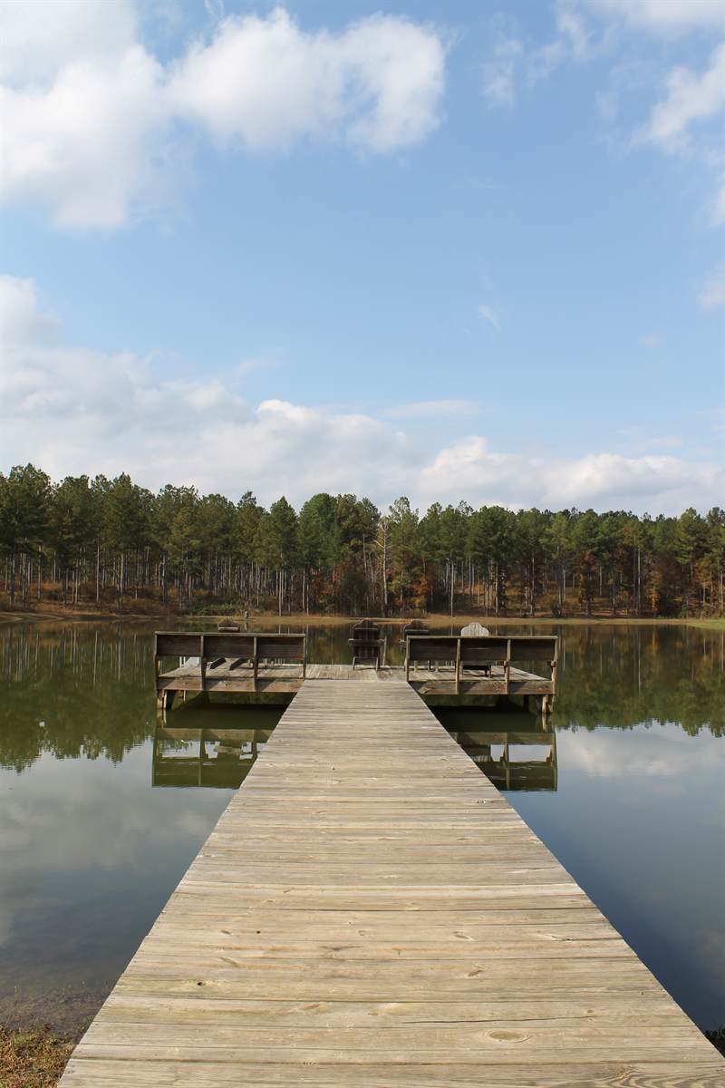 The timber pier running out toward a covered platform