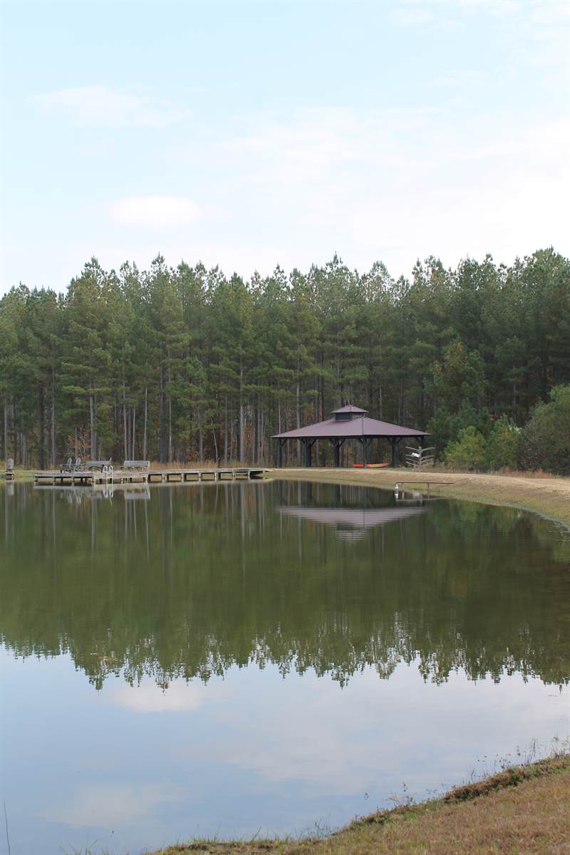 Pine woods reflected in the flat surface of the lake