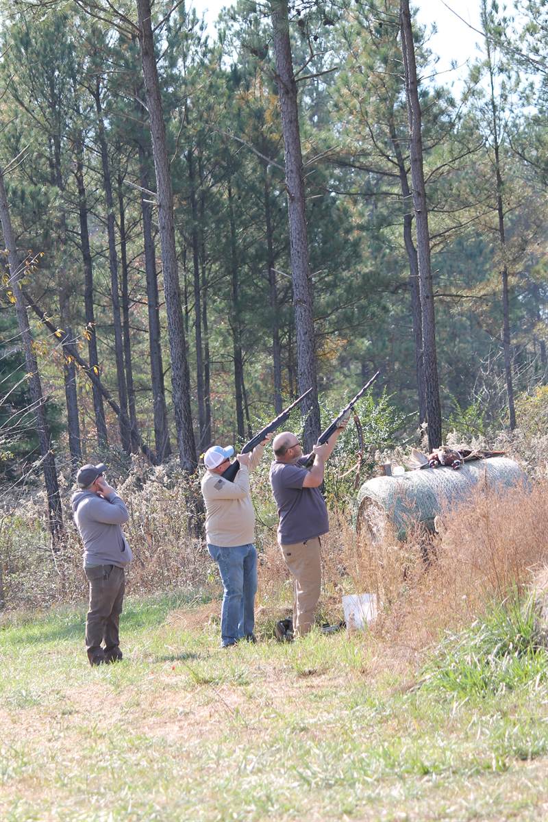 A line of shooters spread along a field edge at a pheasant tower shoot